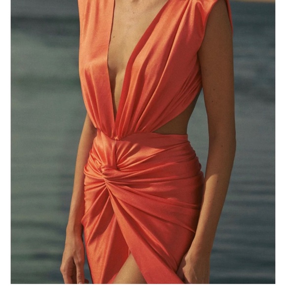 BAOBAB Mia Dress NWT - Picture 3 of 4